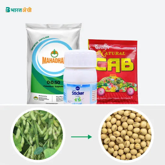 सोयाबीन बढ़त किट - वजन बढ़ना (80-120 दिन) | Soybean Badhat Kit - Weight gain (80-120 days)