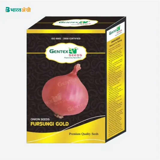 Gentex Fursungi Gold Onion Seeds - BharatAgri Krushidukan_1