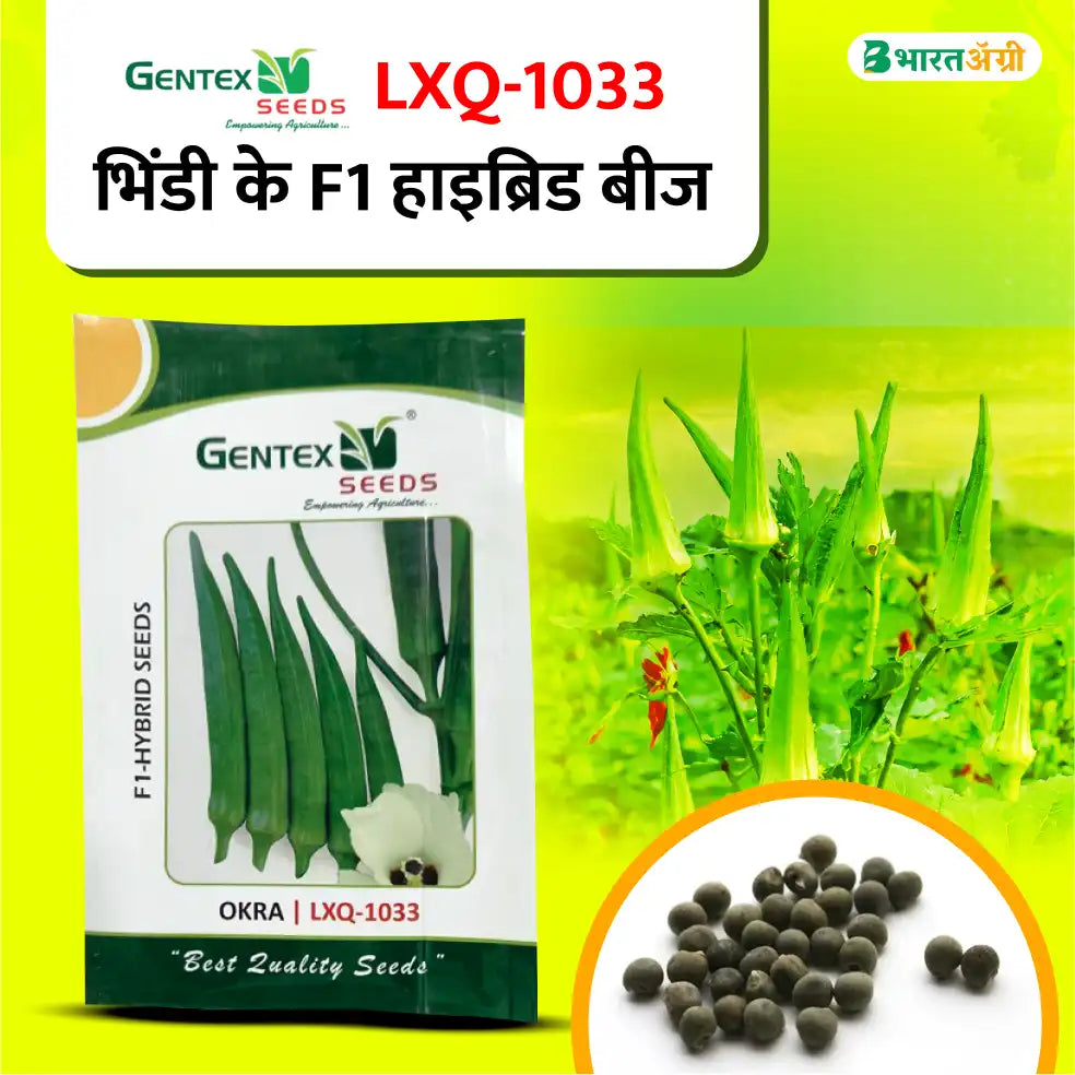 जेनटेक्स एलएक्सक्यू-1033 हाइब्रिड भिंडी के बीज | Gentex LXQ-1033 Hybrid Okra Seeds