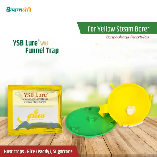 Green Revolution Funnel Trap + YSB Lure (Scirpophaga Incertulas)1