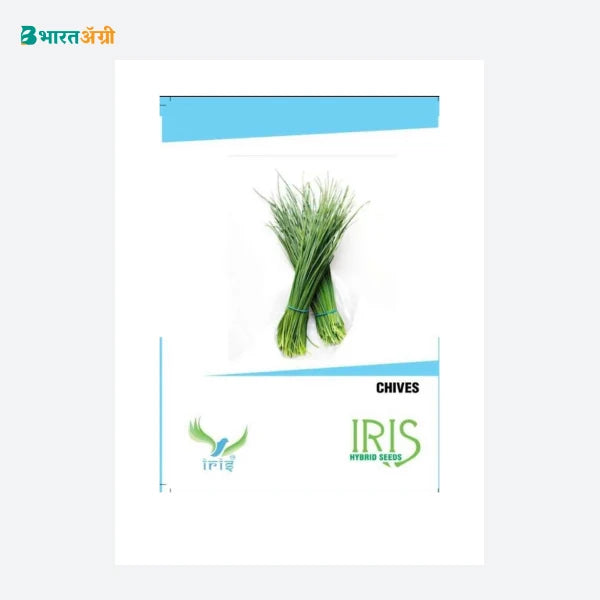 Iris Imported Chives Herb Seeds_2 | BharatAgri Krushidukan
