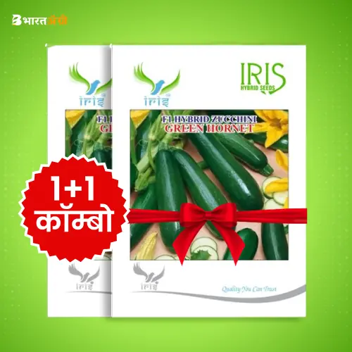 Iris Green Hornet F1 Zucchini Seeds_1 | BharatAgri Krushidukan