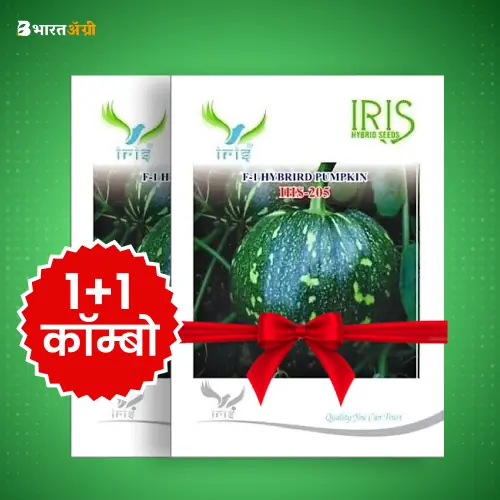 Iris IHS 205 F1 Pumpkin Seeds_1 | BharatAgri Krushidukan