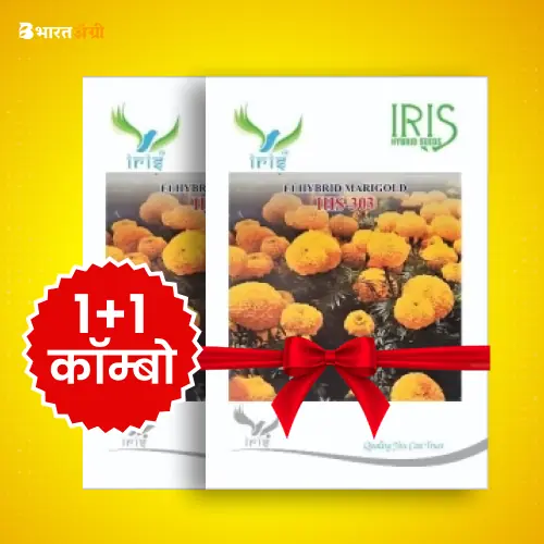 Iris IHS 303 F1 Marigold Yellow Seeds_1 | BharatAgri Krushidukan