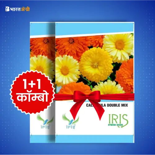 Iris Imported Calendula Double Mix Seeds_1 | BharatAgri Krushidukan