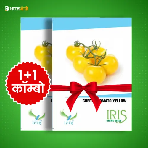 Iris Imported Cherry Tomato Yellow Seeds_1 | BharatAgri Krushidukan
