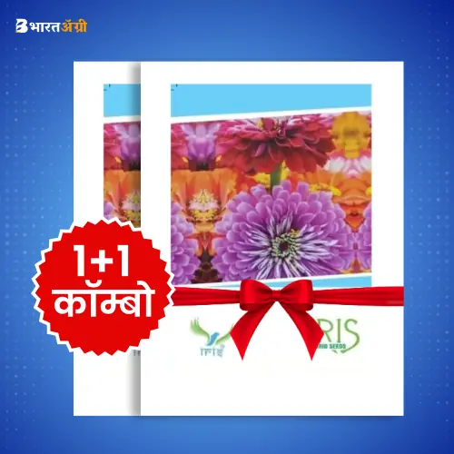 Iris Imported Dianthus Mix Flower Seeds_1 | BharatAgri Krushidukan