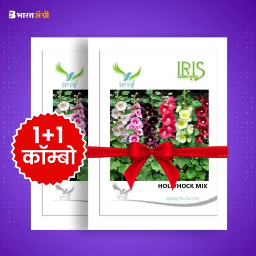 Iris Imported Hollyhock Mix Flower Seeds_1 | BharatAgri Krushidukan