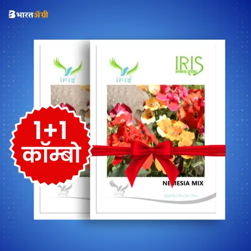 Iris Imported Nemesia Mix Flower Seeds_1 | BharatAgri Krushidukan