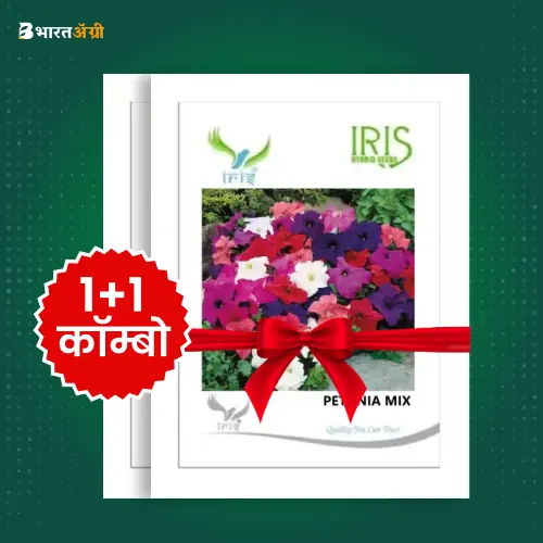 Iris Imported Petunia Mix Flower Seeds_1 | BharatAgri Krushidukan