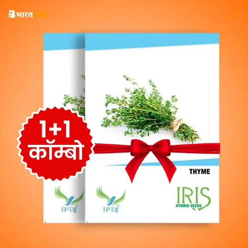 Iris Imported Thyme Herb Seeds_1 | BharatAgri Krushidukan