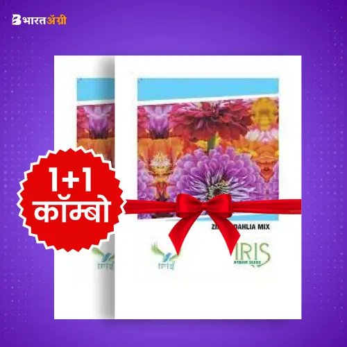 Iris Imported Zinnia Dahlia Mix Flower Seeds_1 | BharatAgri