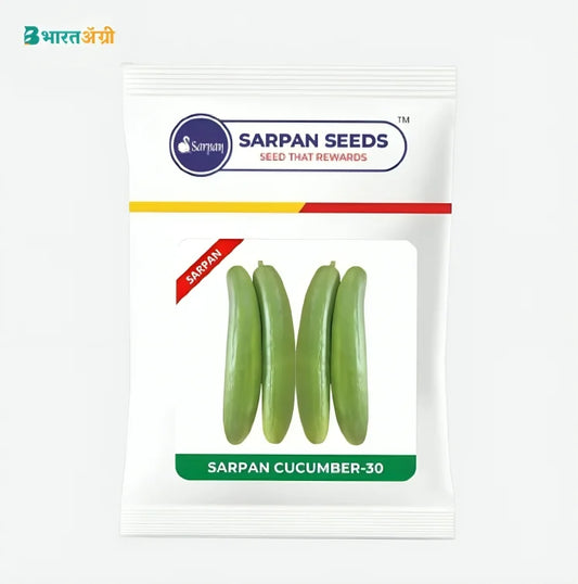 Sarpan SCU-30 F1 Hybrid Cucumber Seeds | BharatAgri Krushidukan