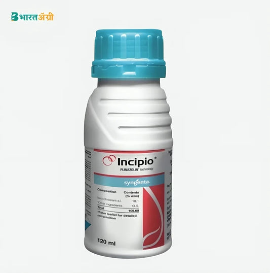 Syngenta Incipio (Isocycloseram 18.1% SC) Insecticide | BharatAgri