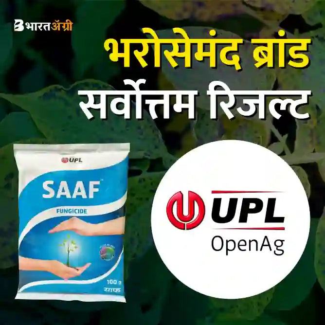UPL Saaf Contact Fungicide + Chilli Umang F1 Hybrid - Krushidukan_2