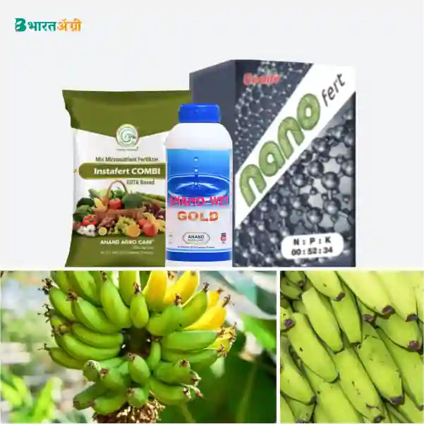 Banana Badhat Kit - Fruit Development (210-270 days) - Krushidukan_1