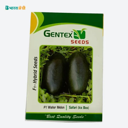 Gentex Safari Hybrid Watermelon (Ice Box) Seeds | Buy Now