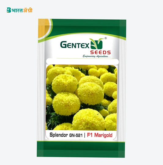 Gentex Splendor GN-521 F1 Hybrid Marigold (Yellow) Seeds | BharatAgri Krushidukan