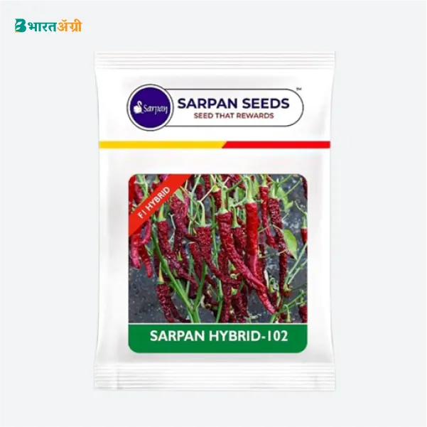 Hybrid Sarpan-102 Byadagi Chilli Seeds - BharatAgri Krushidukan_2
