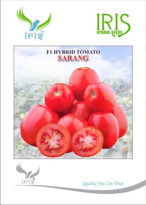 Iris Sarang F1 Tomato Seeds - BharatAgri Krushidukan