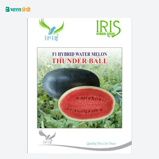 Iris Thunderball F1 Watermelon Seeds - BharatAgri