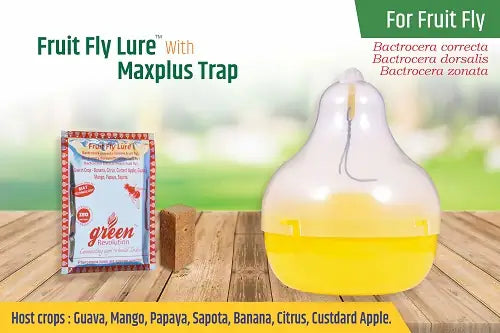 Maxplus Trap with Fruit Fly Lure - BharatAgri Krushidukan_1