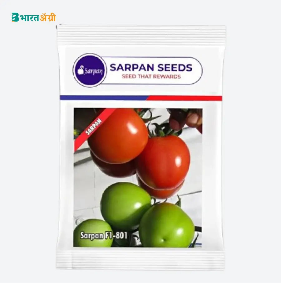 Sarpan F1-801 Hybrid Tomato Seeds | Buy Now