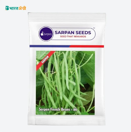 Sarpan French Beans-66 F1 Hybrid Seeds | Buy Now