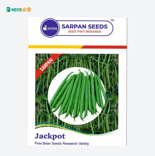 Sarpan Jackpot Pole Bean seeds | Buy Now