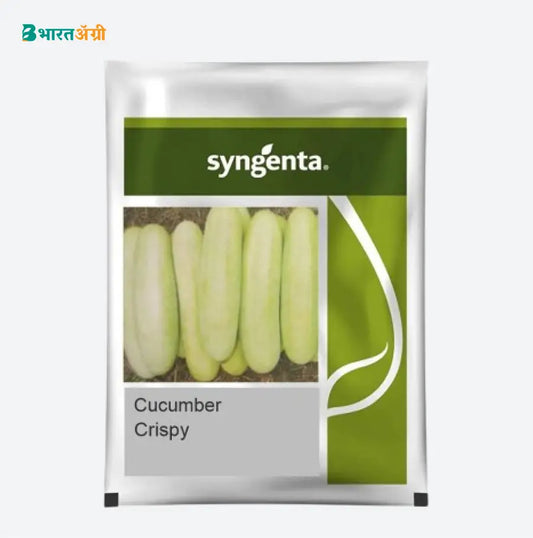 Syngenta Crispy Cucumber Seeds | BharatAgri