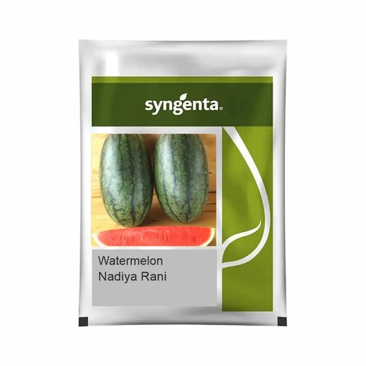 Syngenta Nadiya Rani Watermelon Seeds (BharatAgri KrushiDukan)