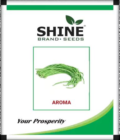 Yard Long Bean Aroma - Shine Brand Seeds - BharatAgri Krushidukan_1