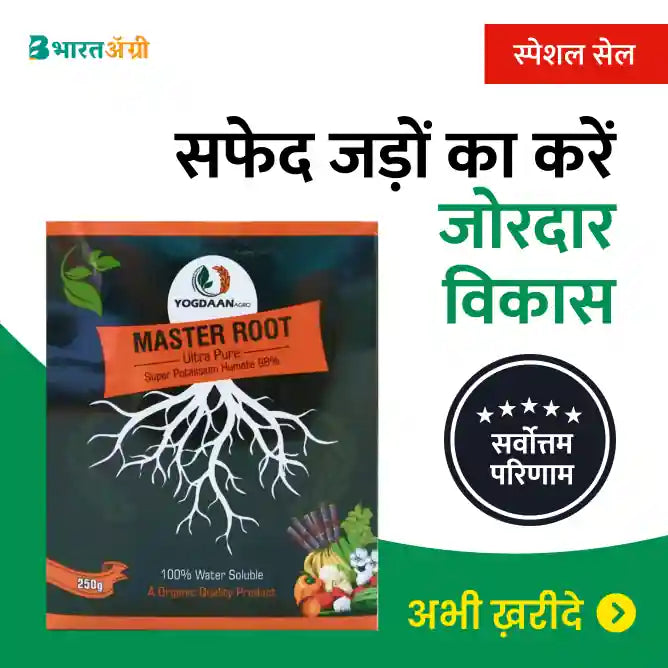 Soybean Suraksha Kit - Wilt and root growth (0-20 days)_4 - BharatAgri Krushidukan