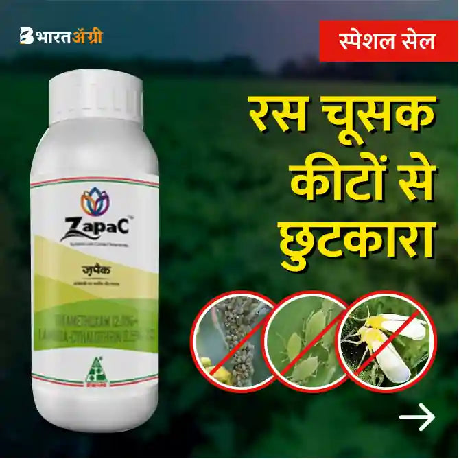 Soybean Suraksha - Sucking Pest (15 - 30 days)_4 - BharatAgri Krushidukan