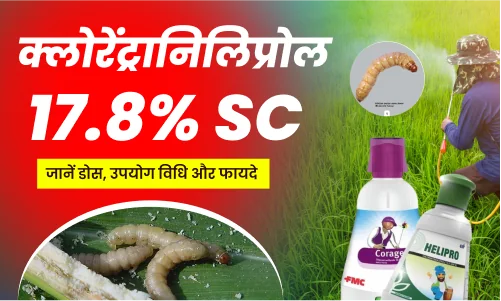 chlorantraniliprole 18.5 sc insecticide