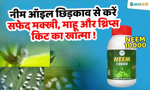 neem oil spray