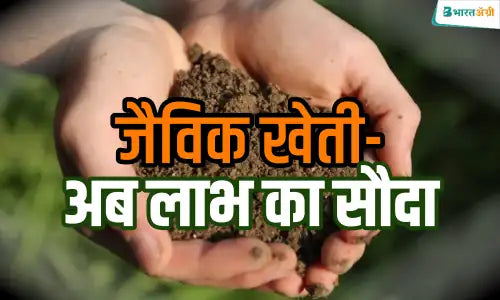 know about organic farming 