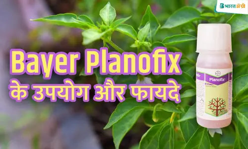 Uses and benefits of Planofix Bayer in crops