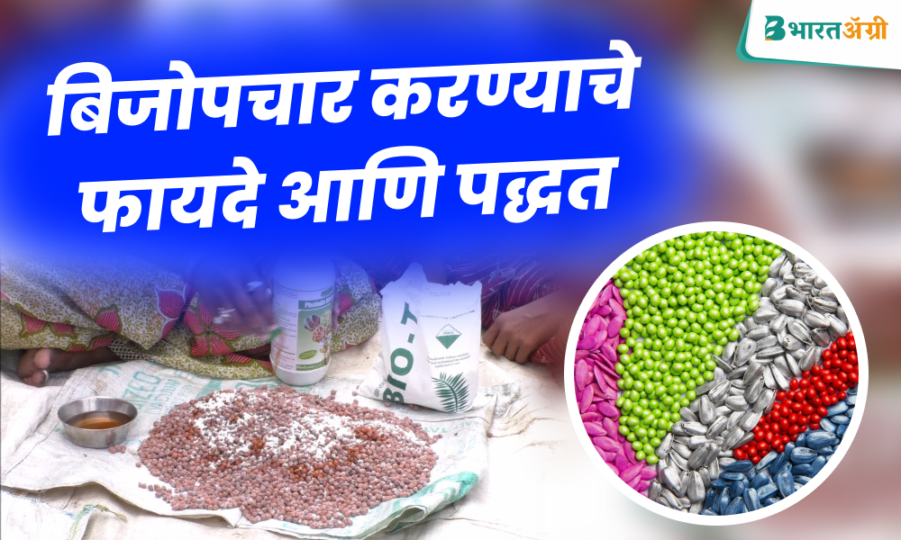 seed treatment in marathi