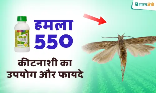 Hamla 550 uses in hindi