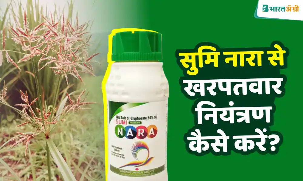 kill weed using sumi nara