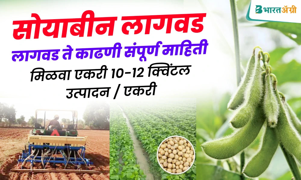 soybean lagwad mahiti marathi