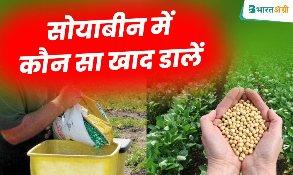 soybean fertilizer dose