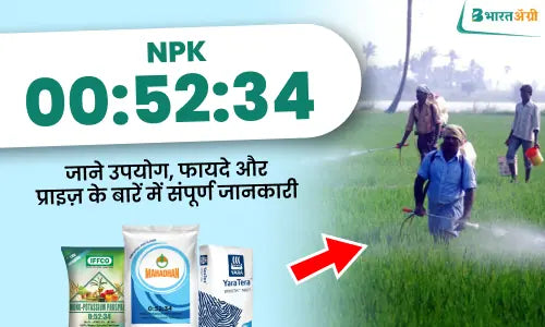 Npk 0 52 34: जाने उपयोग, फायदे और कीमत के बारें में संपूर्ण जानकारी ...