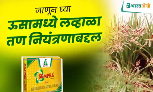 lavala weed control