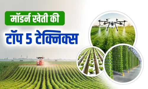 Modern Farming Methods: मॉडर्न खेती के अनोखे टिप्स