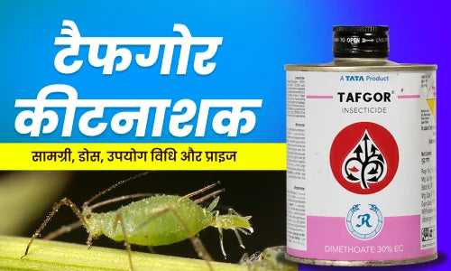 tafgor insecticide uses in hindi