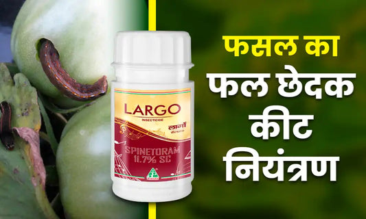 fruit borer control in hindi 