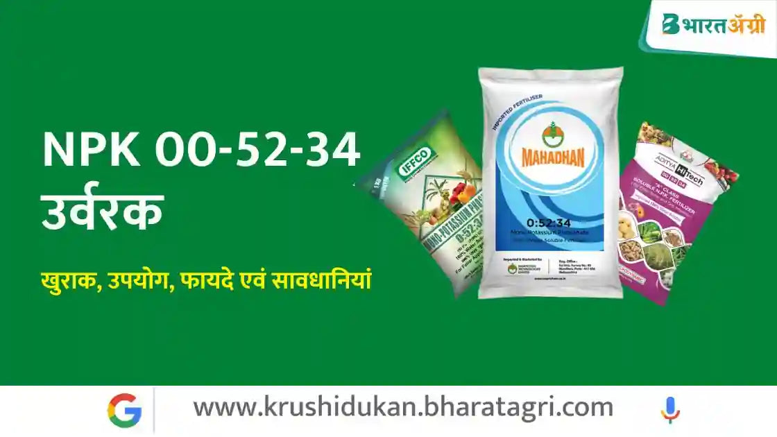 फसल मे NPK 00-52-34 का उपयोग और महत्व के बारे में जानें – BharatAgri ...