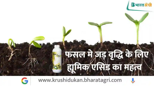 फसल मे जड़ वृद्धि के लिए Humic Acid Fertilizer का महत्व | Importance of Humic Acid Fertilizer for root growth in the crop